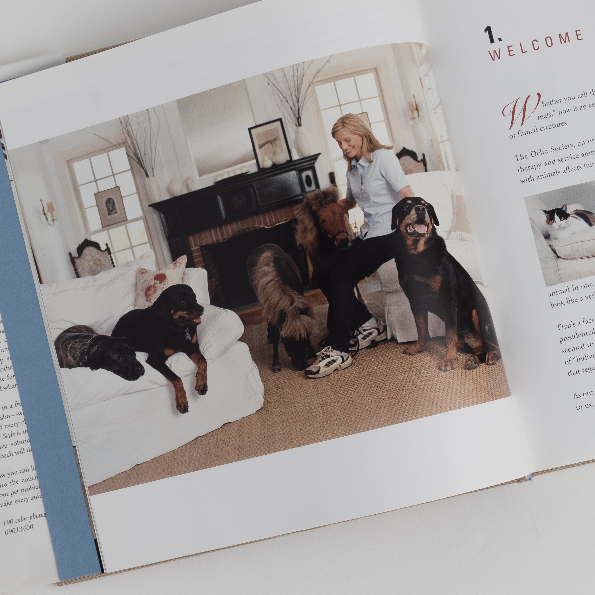 Animal House Style Book by Julia Szabo - Homekeep Market