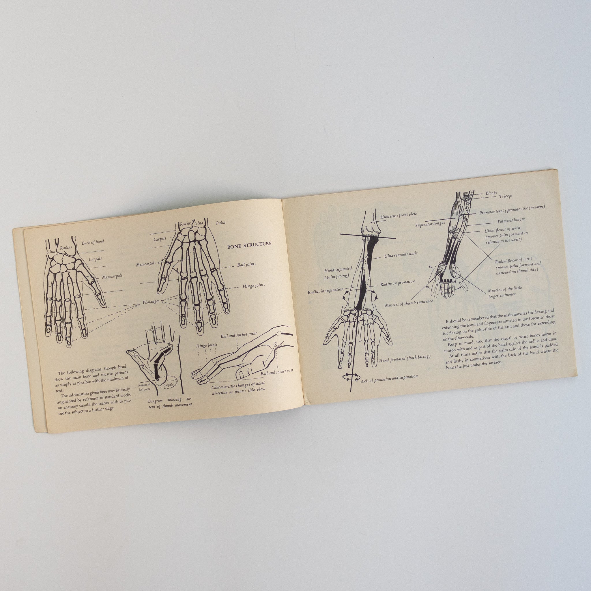 Drawing Hands Booklet by Carl Cheek - Homekeep Market