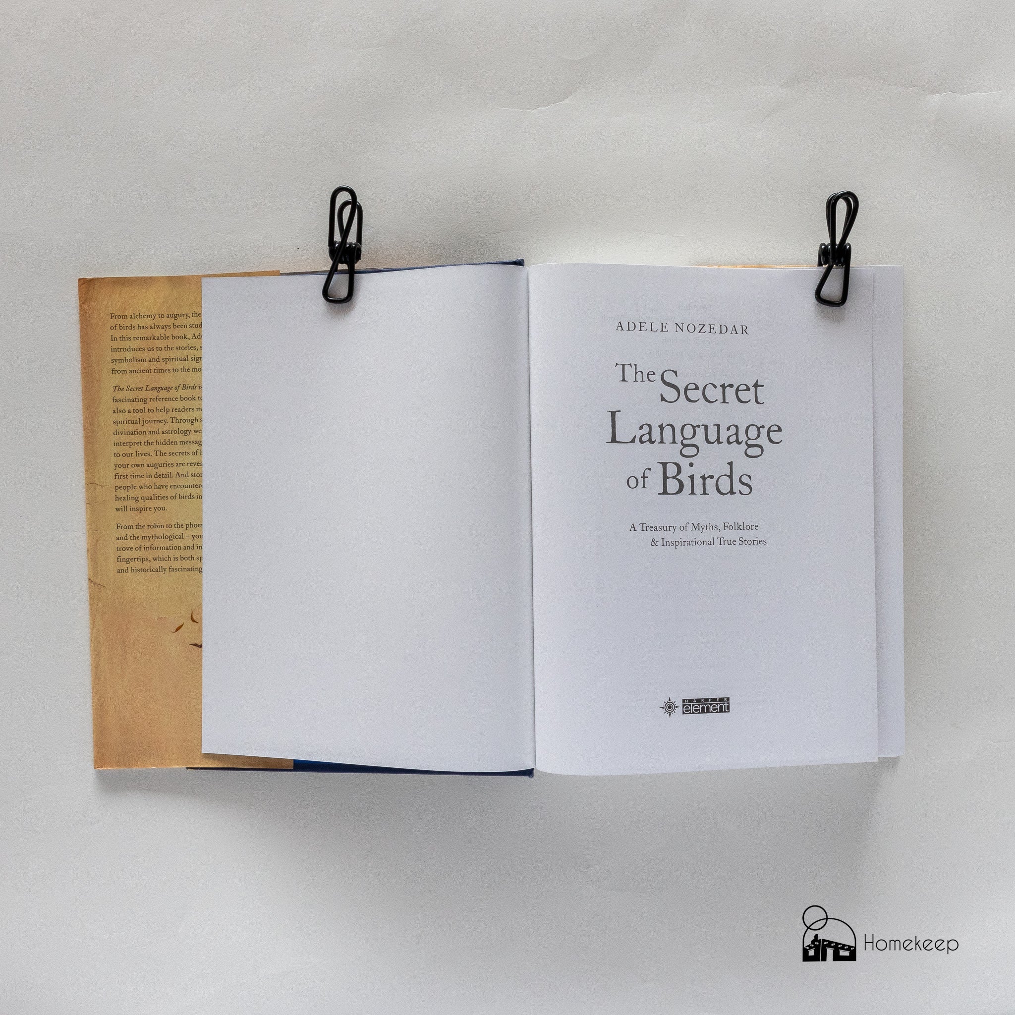 "The Hidden Secret of Birds" by Adele Nozedar - Homekeep Market